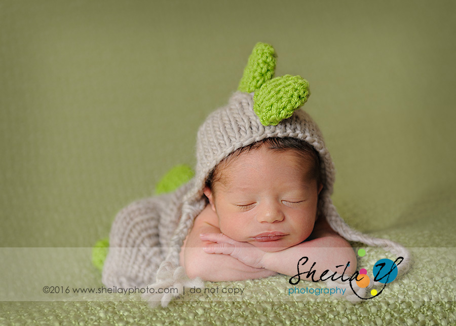 chester county newborn photography