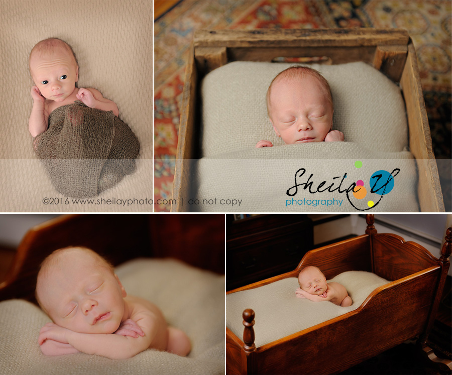 chester county newborn photography